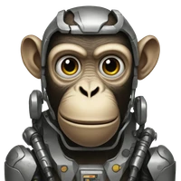 Sezer's profile picture