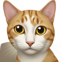 yaoyifan's profile picture