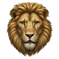 saurya's profile picture