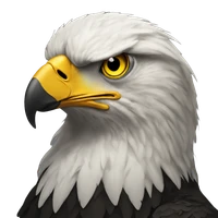 Ebrar Yalçın's profile picture