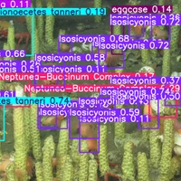 Ada Carter's profile picture