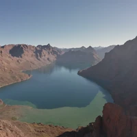 yanyi's profile picture