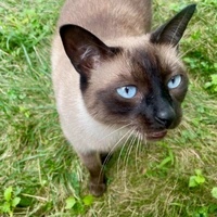 Giles Hall's profile picture