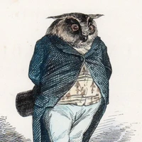 Ascander Dost's profile picture