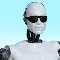 Matthew Badylski's profile picture