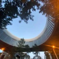 links's profile picture