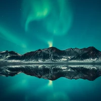 bir insan's profile picture