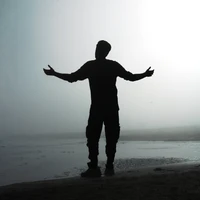 alireza's profile picture