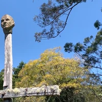 Will Oakley's profile picture