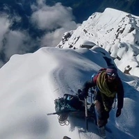 Arth SIngh's profile picture