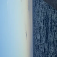 Ayhamnar's profile picture